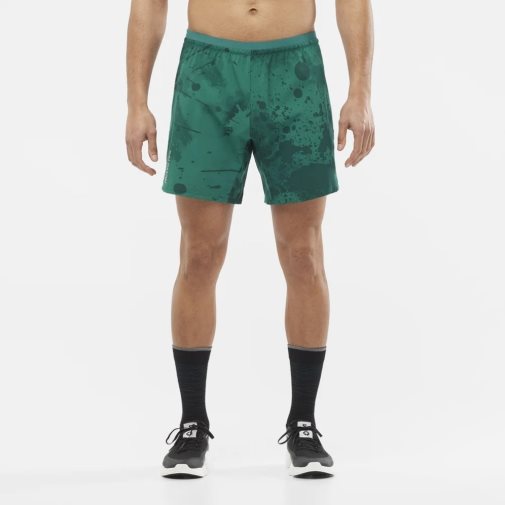 Bermudas Salomon Cross 7'' No Liner Hombre Verdes | MX ZTVU146